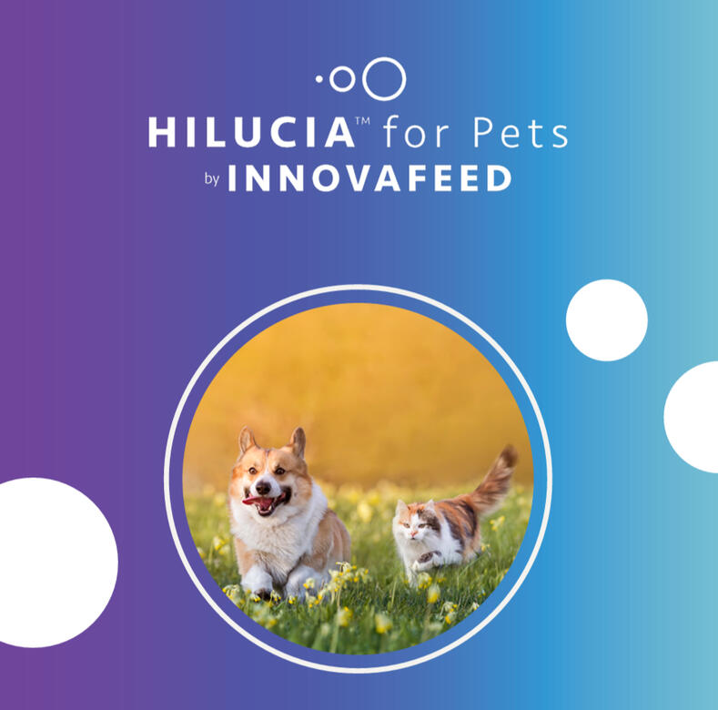 Hiluciaâ„¢ for Pets Booklet Hiluciaâ„¢ for Pets Booklet